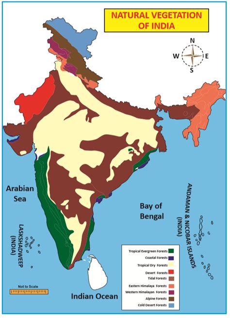 Climate And Natural Vegetation Of India Notes Th Social Science Winmeen