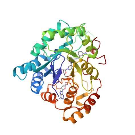 Rcsb Pdb Auu Human Aldose Reductase Mutant A G In Complex With A