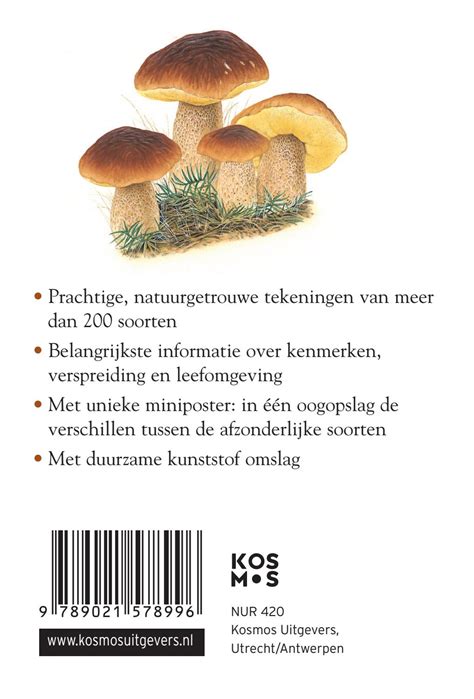 Compactgids Paddenstoelen By Veen Bosch Keuning Uitgeversgroep Issuu