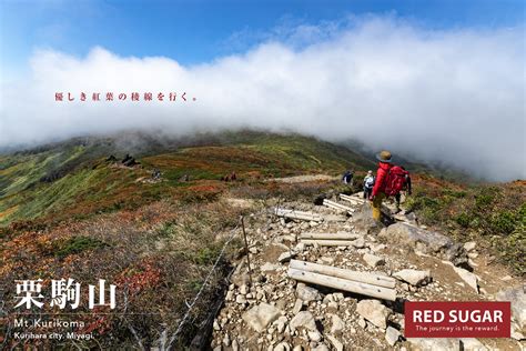 【東北】栗駒山、紅葉の名所は温泉の山、真っ赤な紅葉と硫黄泉を楽しむ登山旅へ Red Sugar