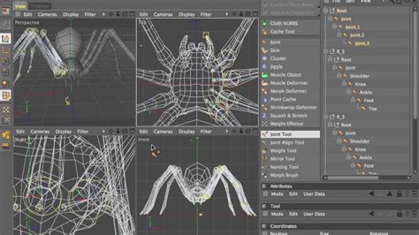 C4d Spider Rigging 03 Youtube