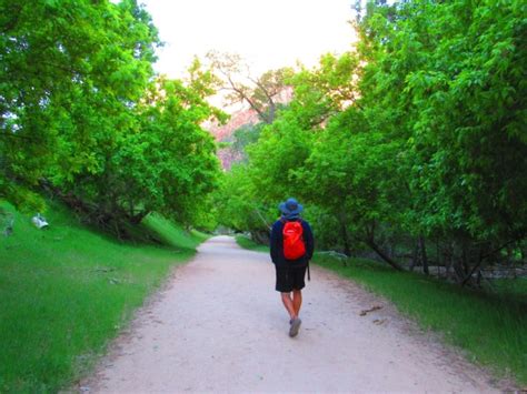 Hiking The Grotto Trail In Zion National Park – PoppinUpUSA.com