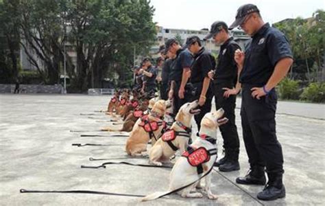 新北市動保處為新北市警犬隊健康把關 文教新聞｜國立教育廣播電臺