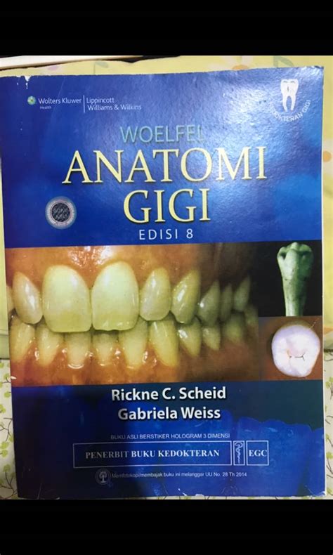 Buku Anatomi Gigi Woelfels Kedokteran Gigi Buku Alat Tulis Buku