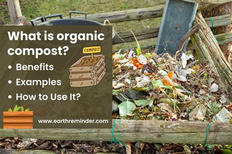 What Is Organic Compost Benefits Examples And How To Use It