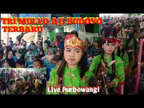 Janturan Ebeg TRI MULYO AJI BUDOYO Nogoraji Kec Buayan Live Didesa