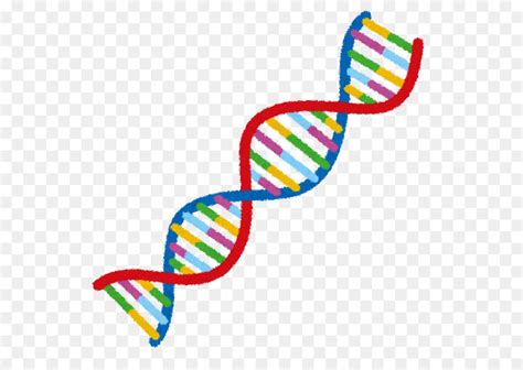 Download High Quality dna clipart cartoon Transparent PNG Images - Art ...