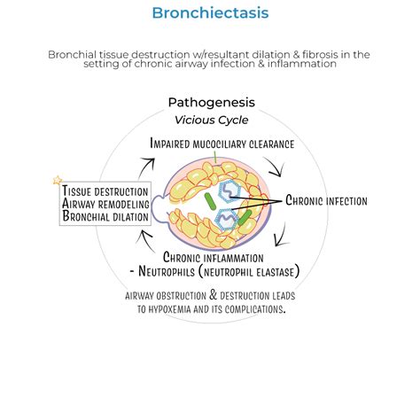 Clinical Pathology Glossary Bronchiectasis Ditki Medical