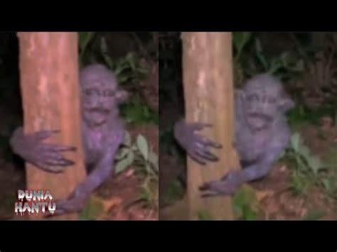 TUYUL ASLI SERAM 5 PENAMPAKAN HANTU TERJELAS TERSERAM DAN MENGERIKAN