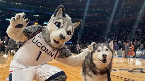 Uconn Husky Mascot Before And Now