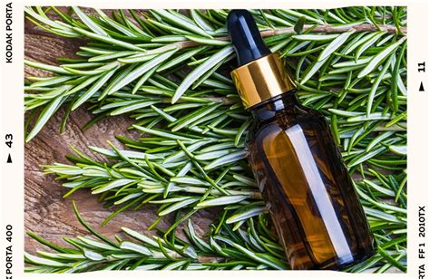 Why Rosemary Oil May Not Be Working for You — The Beauty Report