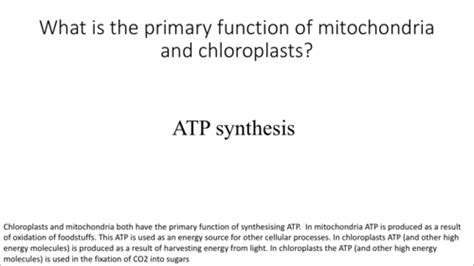 Mitochondria And Chloroplasts Flashcards Quizlet