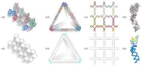 Screenshots Of Different Dna Nanostructure Design Concepts And Their