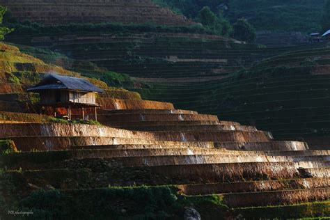 Mucangchai Package Tour 3 Days 2 Night Mu Cang Chai Ecolodge