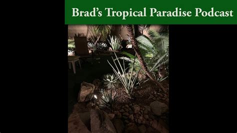 Brad S Tropical Paradise Podcast 3 Why You Should Or Shouldn T Use