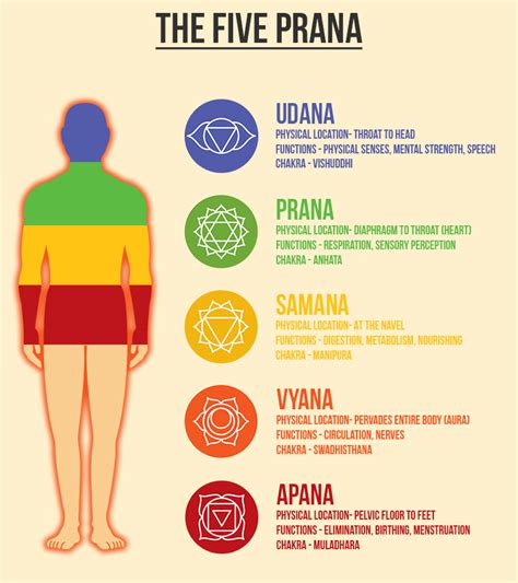 What Is Prana Understanding Flow Of 5 Vayus The World Of Zen