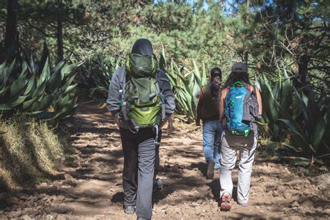 Los Pueblos Mancomunados: Hiking in Oaxaca State