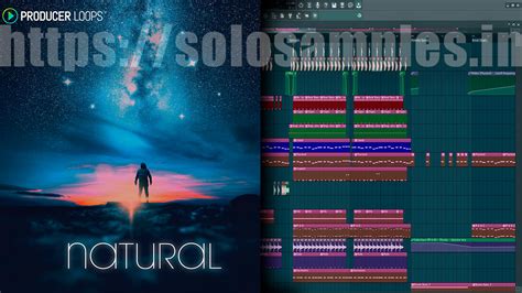 Producer Loops Natural MULTi SOLOSAMPLES