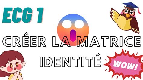 CRÉER la MATRICE IDENTITÉ Extrait Cours ECG Maths APPRO Maths APPLI