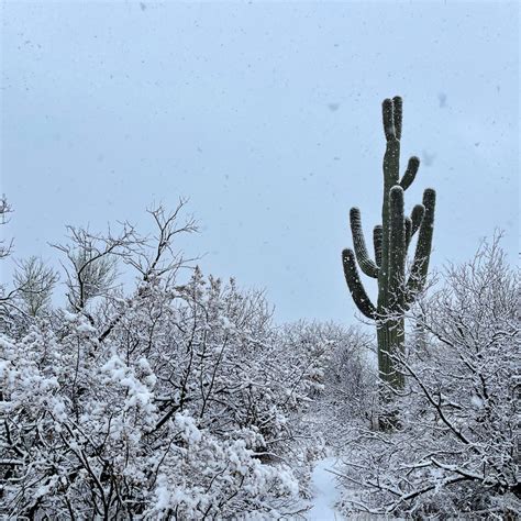 Does It Snow In Tucson Arizona Your Guide To A White Tucson Uponarriving