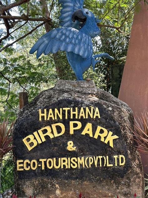 Hanthana Bird Park Kiptra