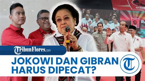 Hadiri Rakernas Vi Relawan Projo Rocky Gerung Megawati Harusnya Pecat