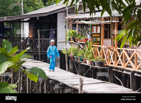 Houses Among Mangroves Belakang Padang Riau Islands Indonesia Stock