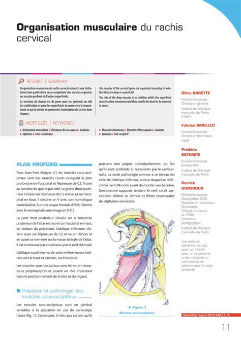 Pdf Organisation Musculaire Du Rachis Cervical Ces Muscles Sont