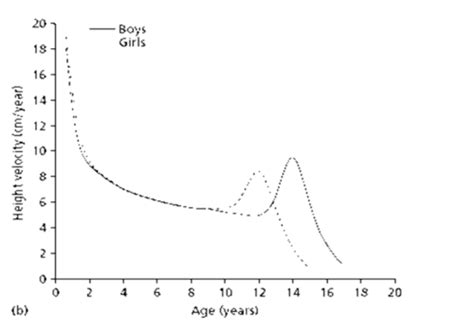 Red Puberty And Sex Differentiation Flashcards Quizlet