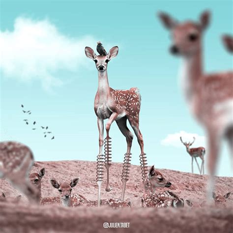 Surreal Animal Photoshop Manipulation By Julien Tabet Design With Red