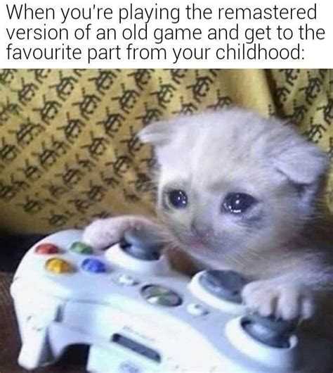 Sad Gaming Cat Remaster | Sad Gaming Cat / Cat On Xbox | Know Your Meme