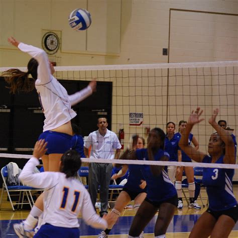 Hofstra Volleyball Hofstra 3 Georgia State 1 Hofstra Univ Flickr