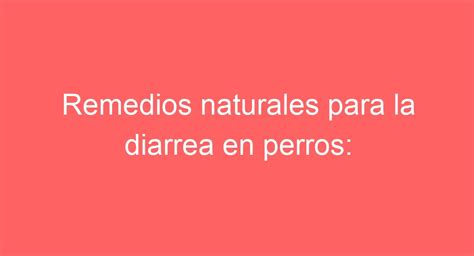 Remedios Naturales Para La Diarrea En Perros ¿qué Es Bueno