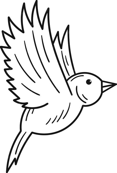 Premium Vector | Flying bird outline