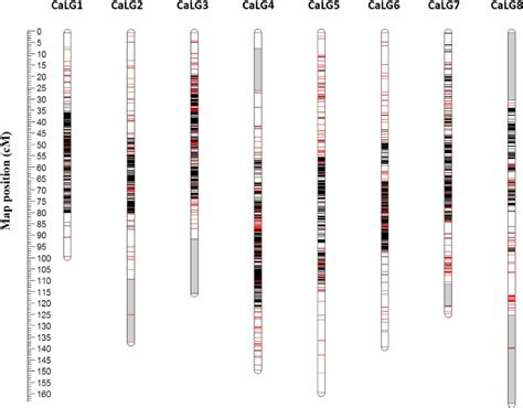 The high density genetic linkage map of chickpea: The inter-specific ...