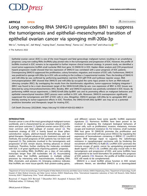 PDF Long Non Coding RNA SNHG10 Upregulates BIN1 To Suppress The