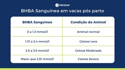 Cetose Bovina E Como Ela Afeta A Produ O Das Vacas De Leite Blog A