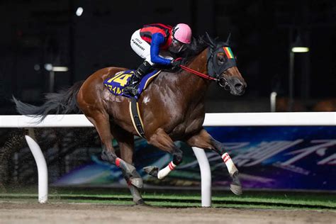 【浦和11r・オーバルスプリント】スマイルウィ交流重賞初vへ！ スポニチ競馬web