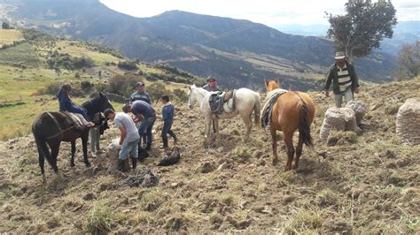 Con Feria De Emprendimientos Campesinos Tur Sticos Y Artesanales