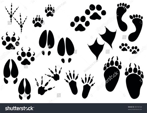 Set Paw Print Stock Vector Royalty Free 90734104 Shutterstock