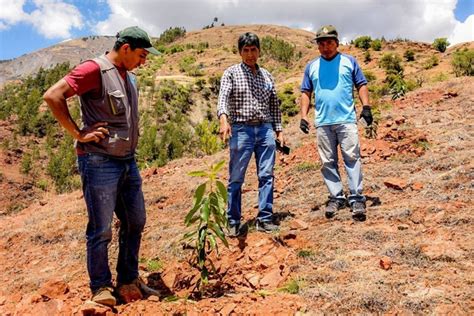 El Niño declaran en emergencia a 544 distritos por peligro inminente