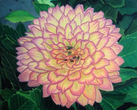 Chithra Priya's Art Blog: Dahlia Flower - Finished