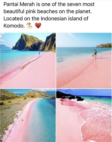 Pink Beach In Labuan Bajo The Best Pink Beach In Indonesia Artofit