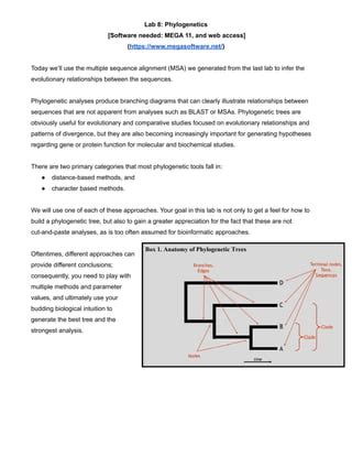 Phylogenetics PDF