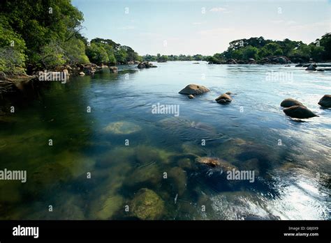 Kafue River rapids, Kafue National Park, Lusaka Province, Zambia Stock Photo, Royalty Free Image ...