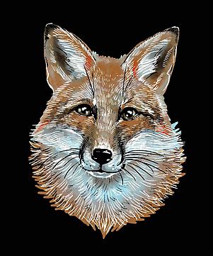 Fox Ear Vector Art PNG Images | Free Download On Pngtree