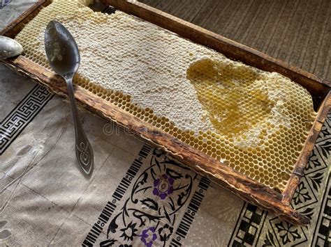 Bee Wax Honeycomb With Honey Close Up Stock Image Image Of Sweet