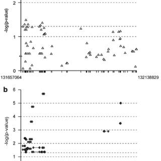 Association Plots Between Single Nucleotide Polymorphisms SNPs