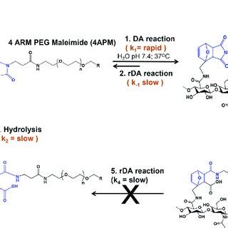 Schematic Representation Of Hydrogel DA Crosslinking Reaction And