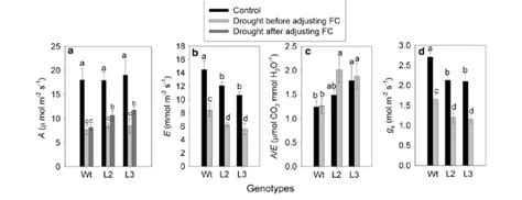 Photosynthetic Gas Exchange Parameters Of T Alexandrinum Under Drought